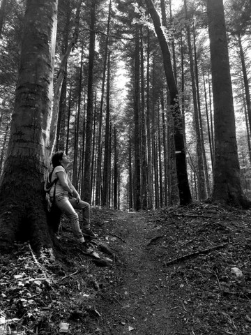 Valérie Cadet en Photo dans une Forêt