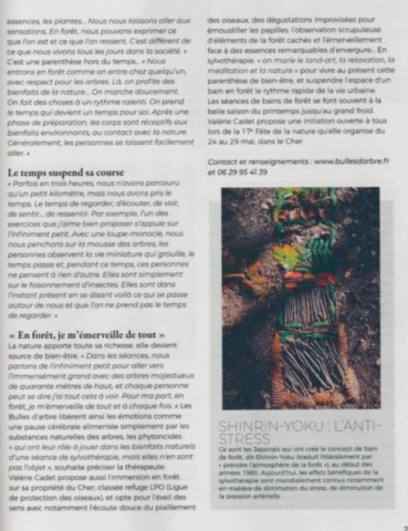 article sylvothérapie